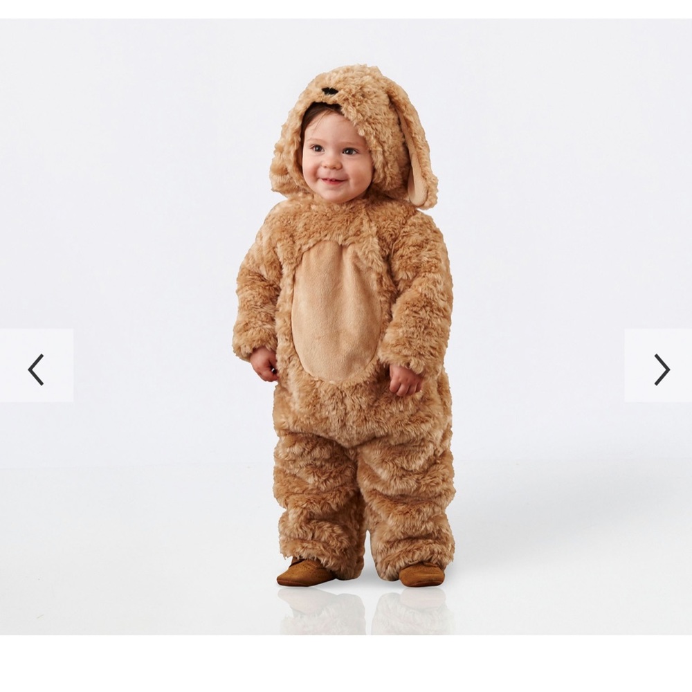 Pottery Barn Baby Dog Costume, 12-24 month
